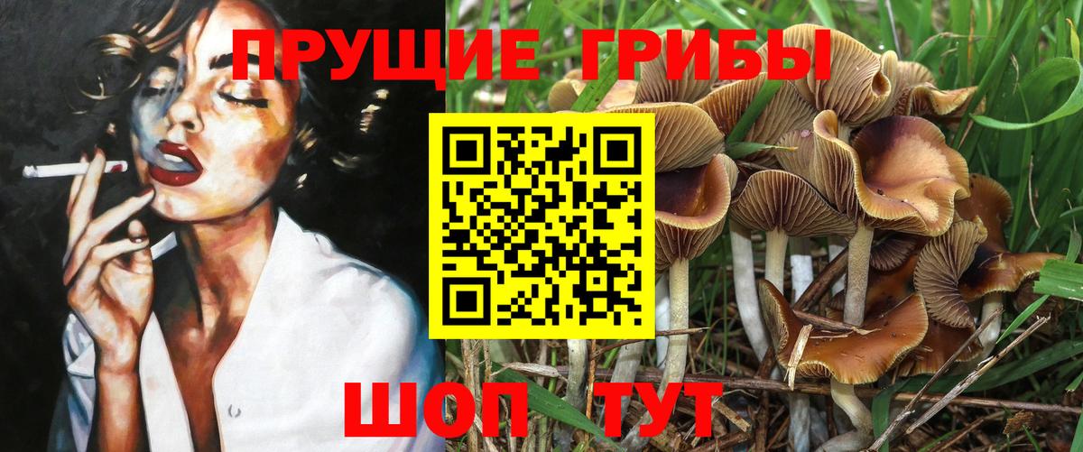 Псилоцибиновые грибы мухоморы Кувандык